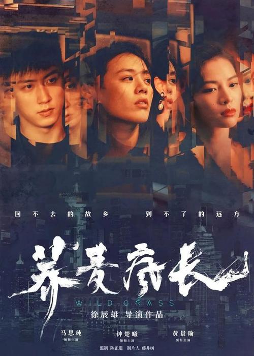 佐治亚州结婚证作假